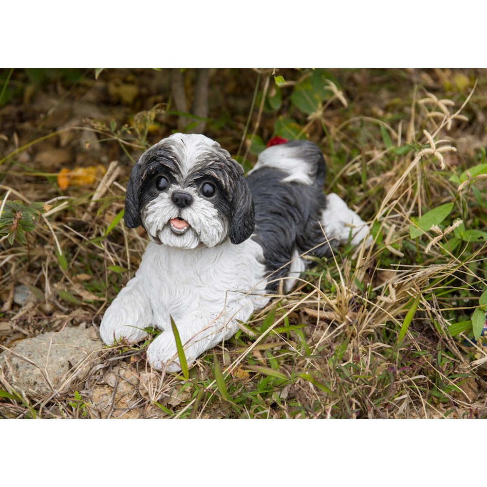 Shih Tzu Lying Down - Black/White. Picture 7