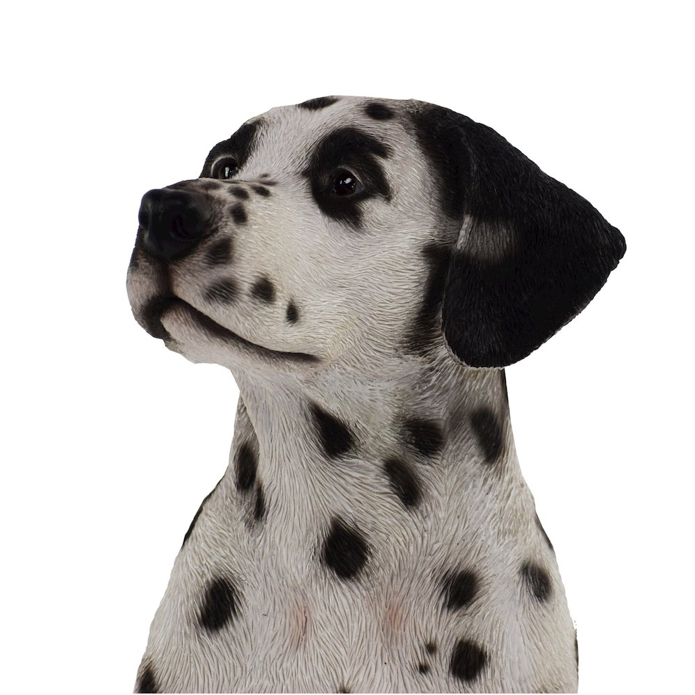 Sitting Dalmation Statue. Picture 2