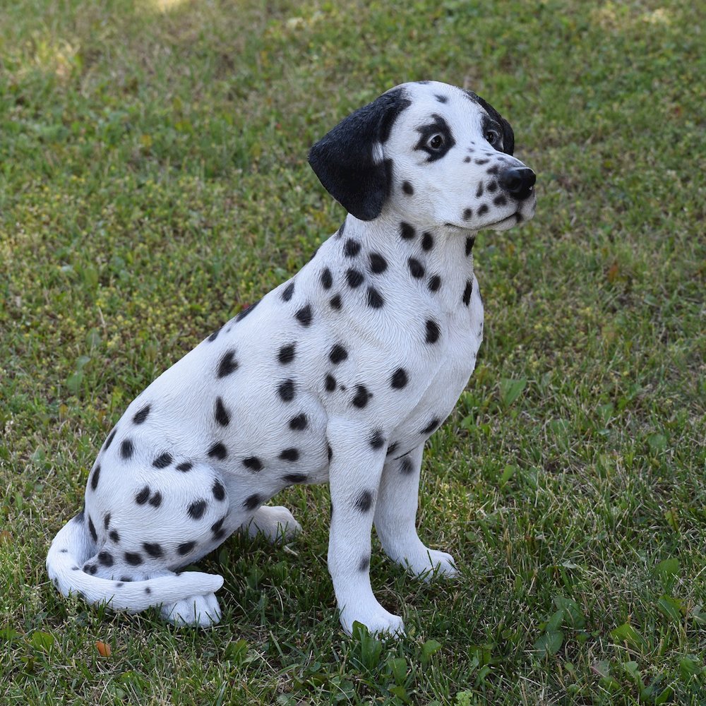 Sitting Dalmation Statue. Picture 6