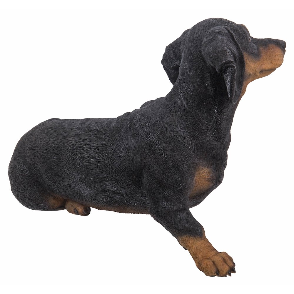 Dachshund. Picture 1