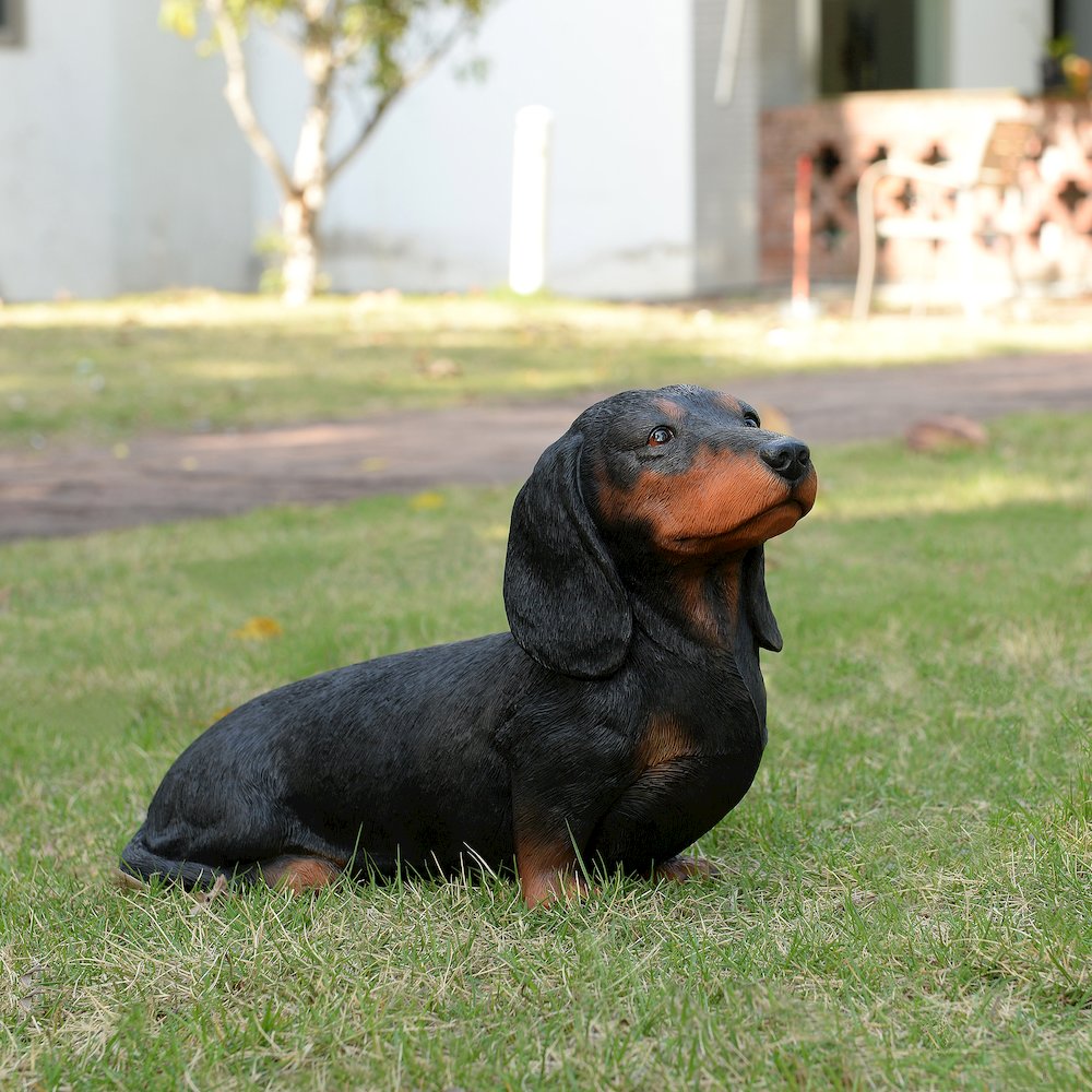 Dachshund Black (Hi-Line Exclusive). Picture 2