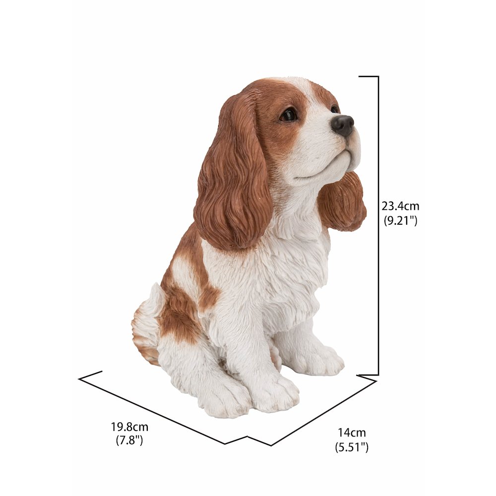 Brown/White King Charles Spaniel Sitting Statue. Picture 4