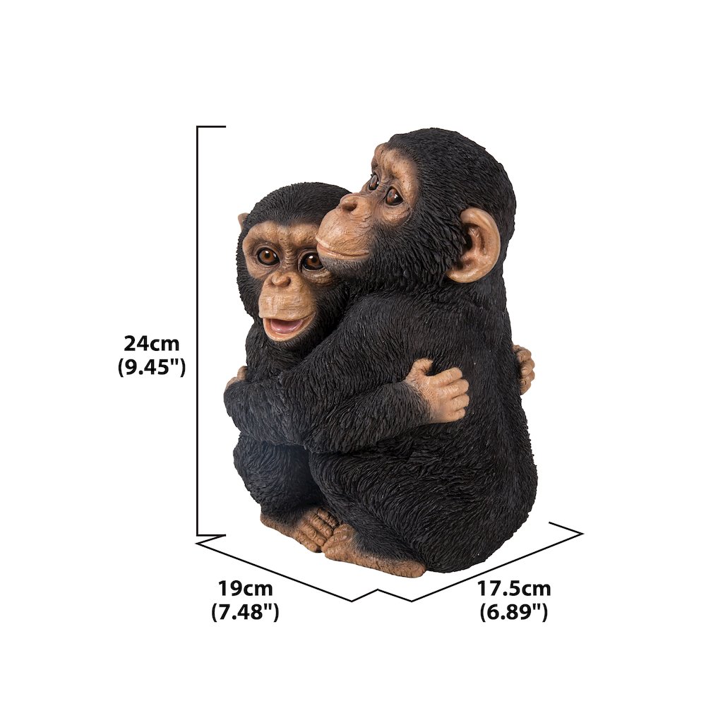 Chimpanzees Hugging. Picture 1