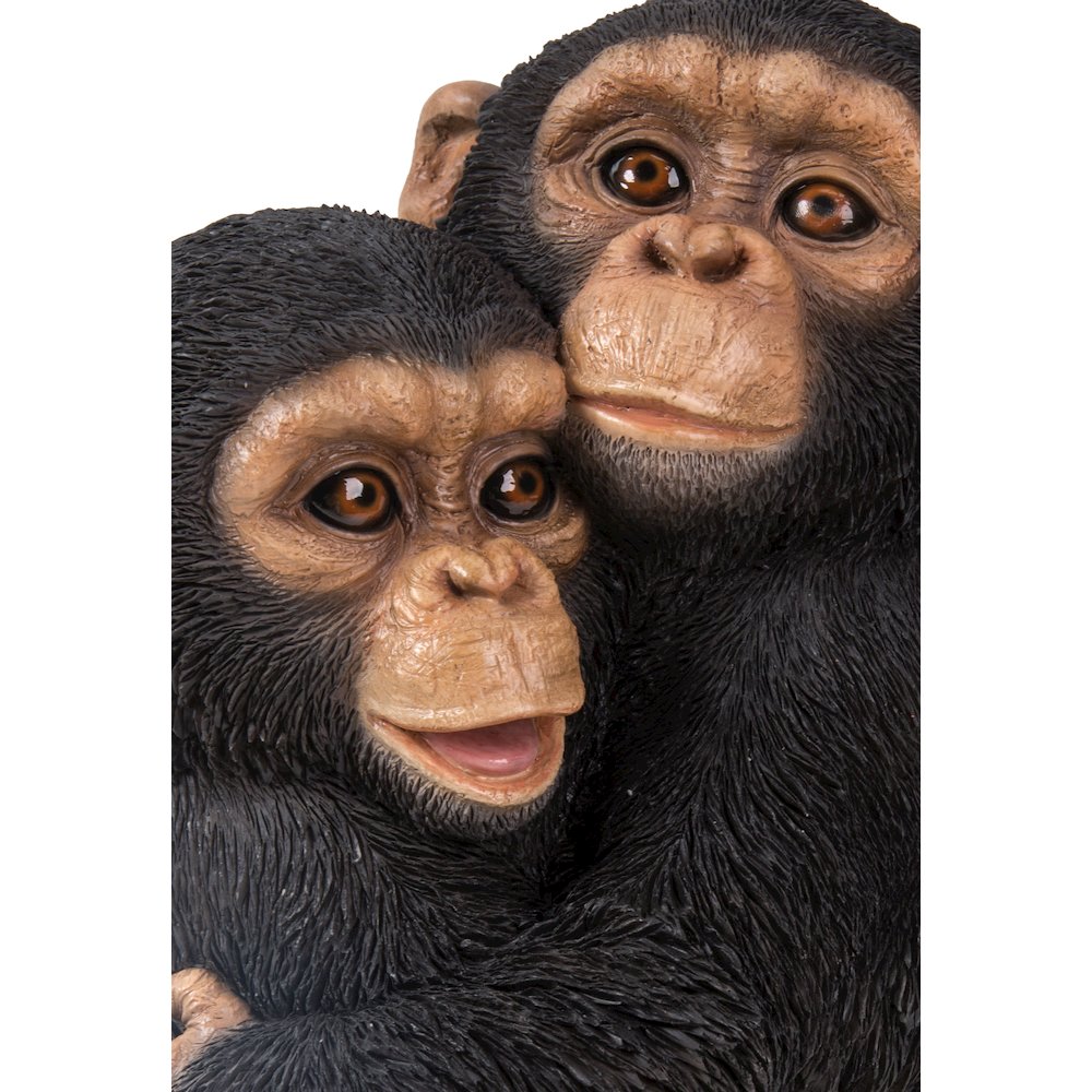 Chimpanzees Hugging. Picture 2