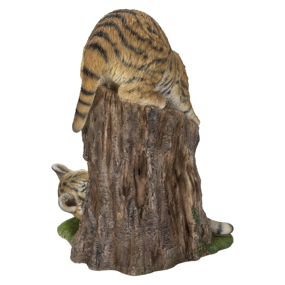 Playful Tiger Cubs. Picture 1