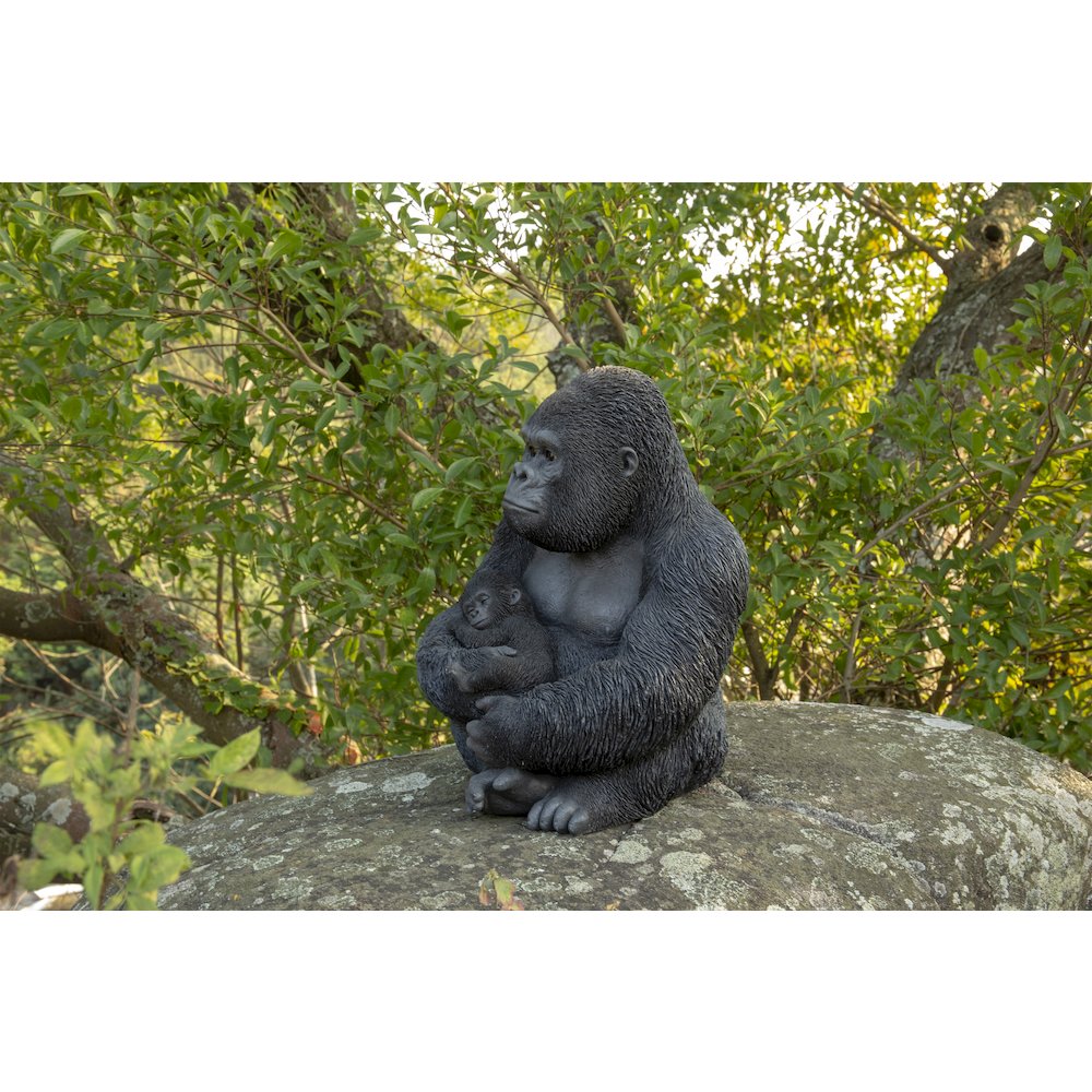 Gorilla Sitting with Baby. Picture 3