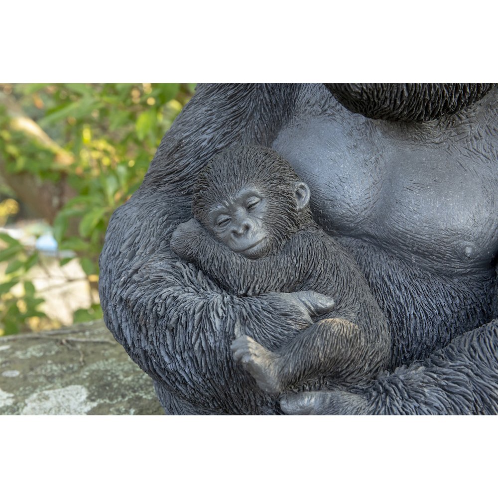 Gorilla Sitting with Baby. Picture 2