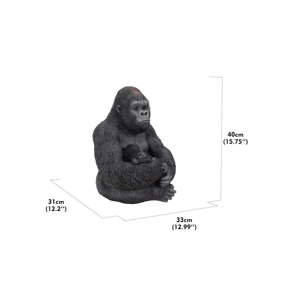 Gorilla Sitting with Baby. Picture 4