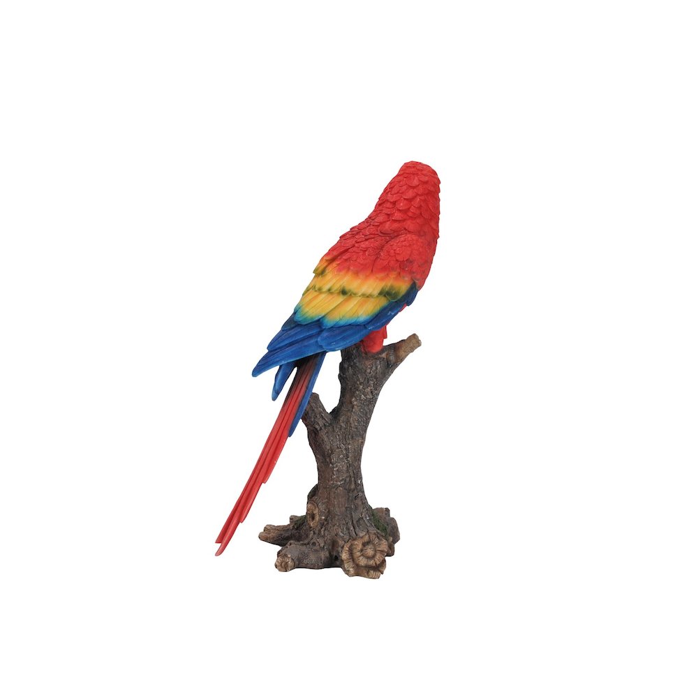 Parrot On Branch. Picture 1