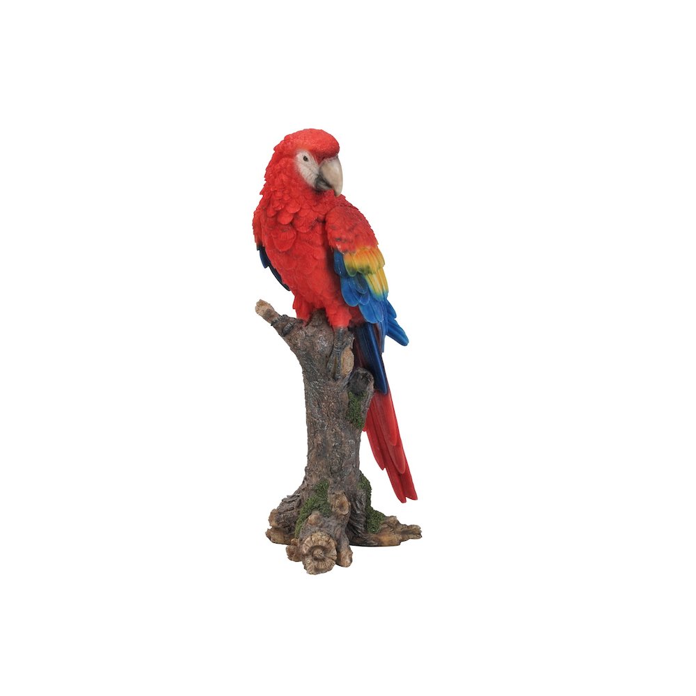 Parrot On Branch. Picture 3