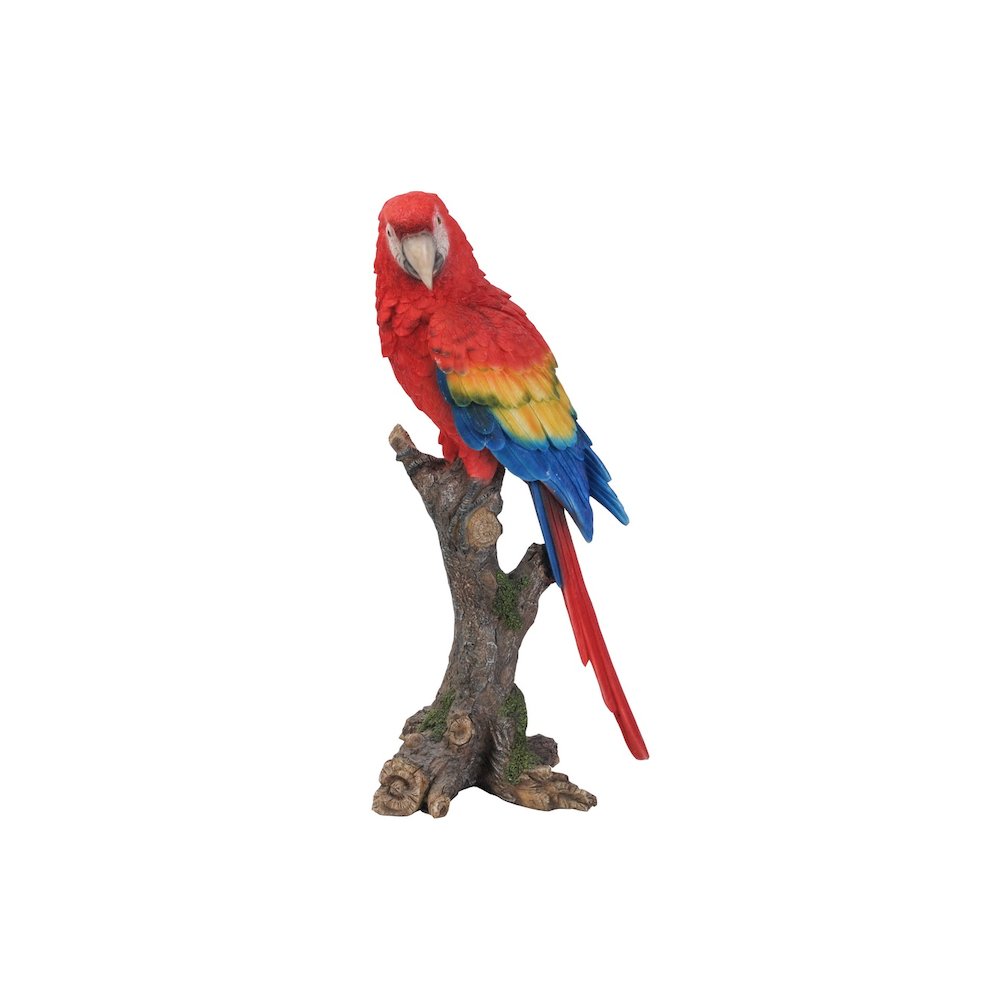 Parrot On Branch. Picture 2
