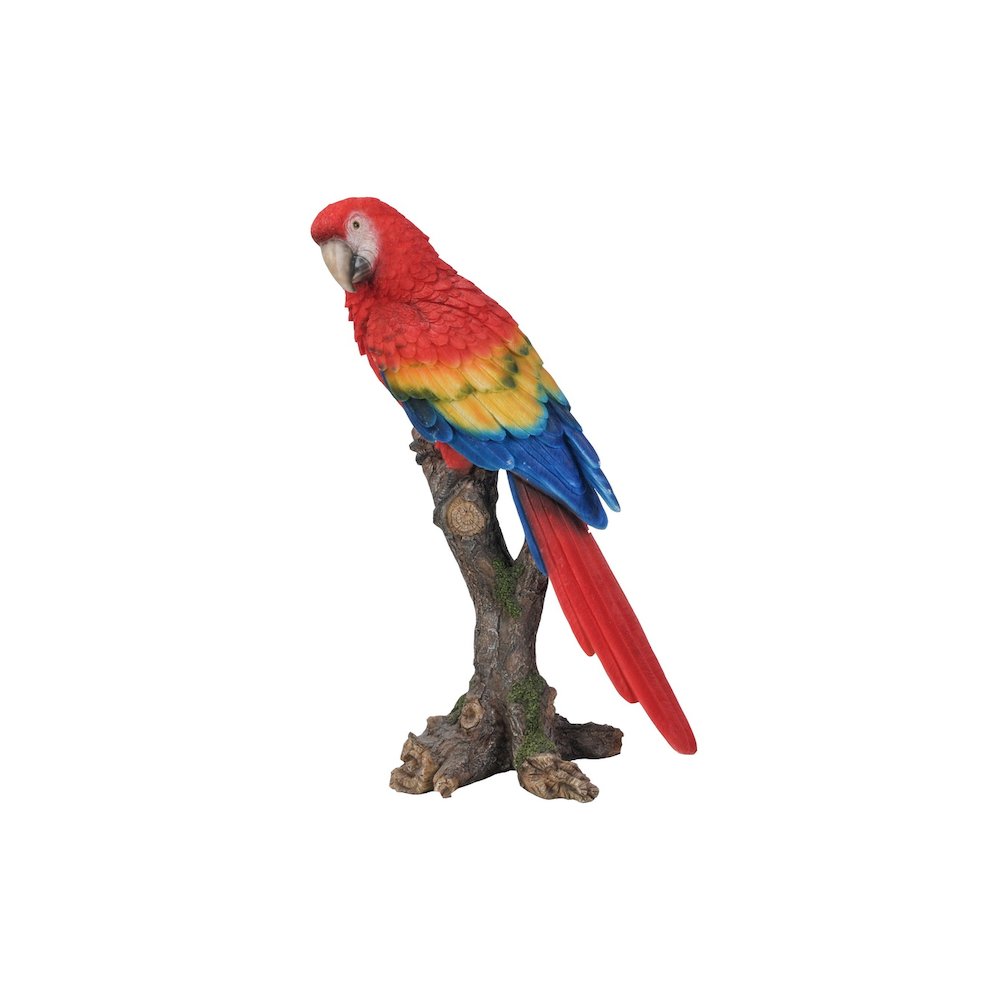Parrot On Branch. Picture 4