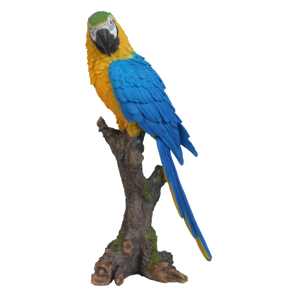 Blue & Yellow Parrot On Branch Statue. Picture 2