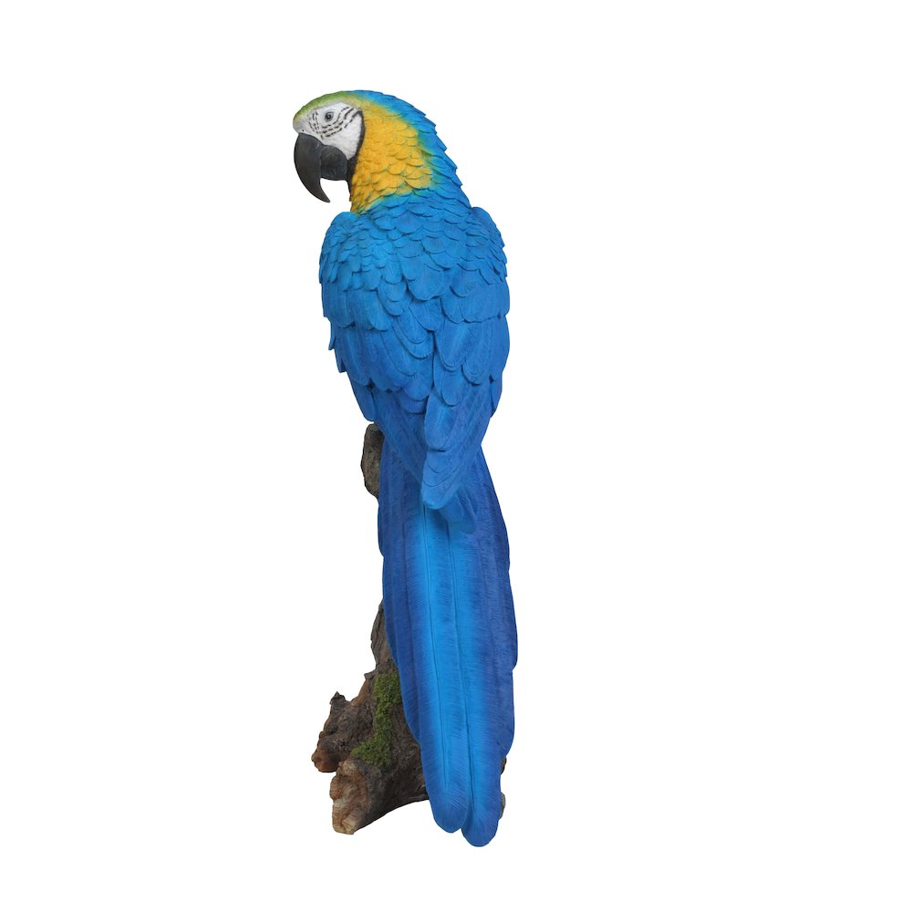 Blue & Yellow Parrot On Branch Statue. Picture 3