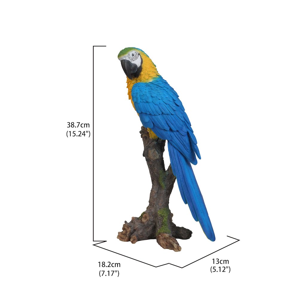 Blue & Yellow Parrot On Branch Statue. Picture 6