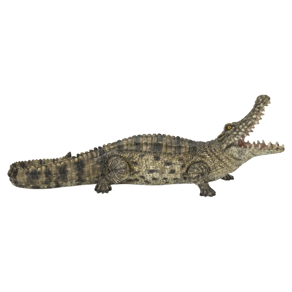 Crocodile with Mouth Open Up. Picture 2