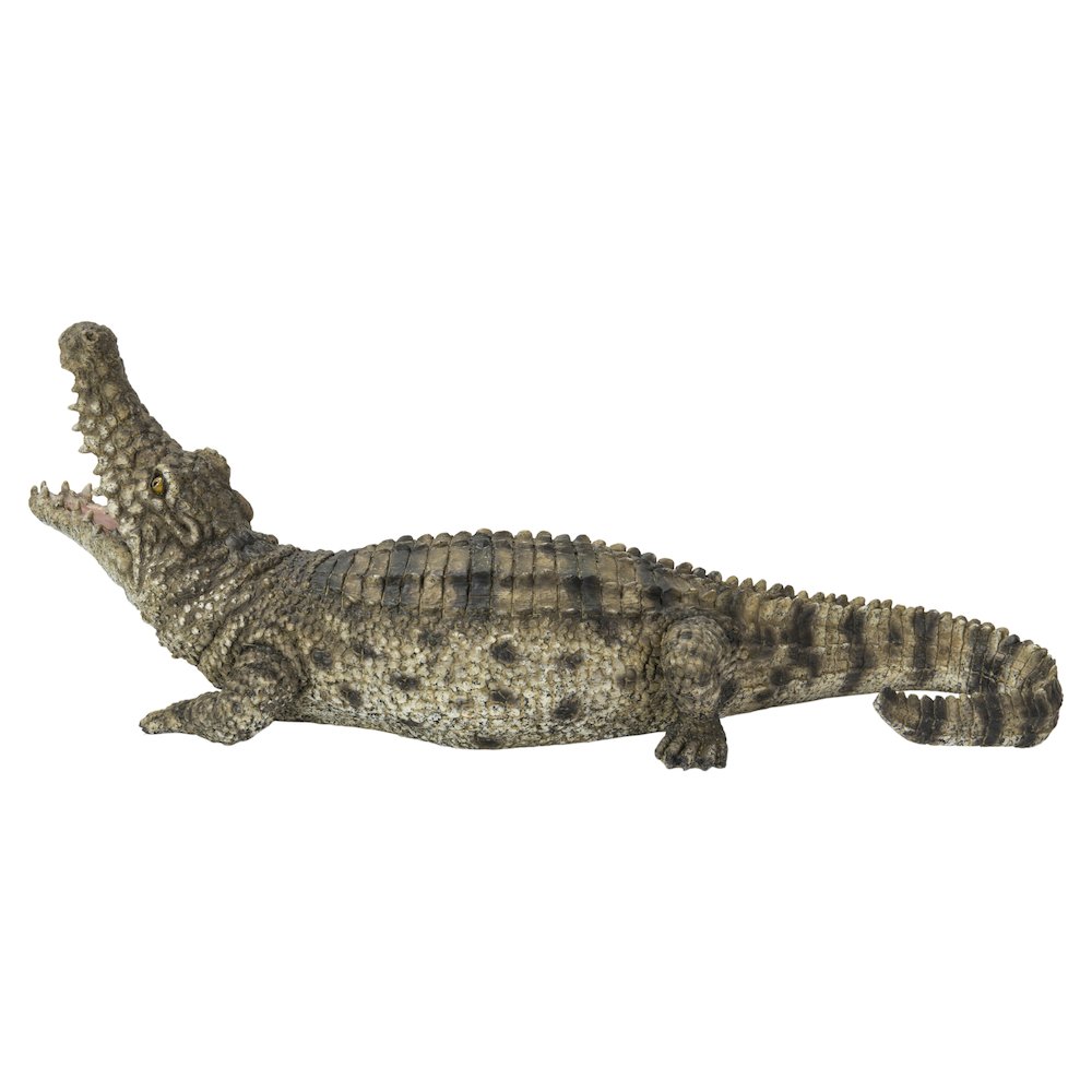Crocodile with Mouth Open Up. Picture 3