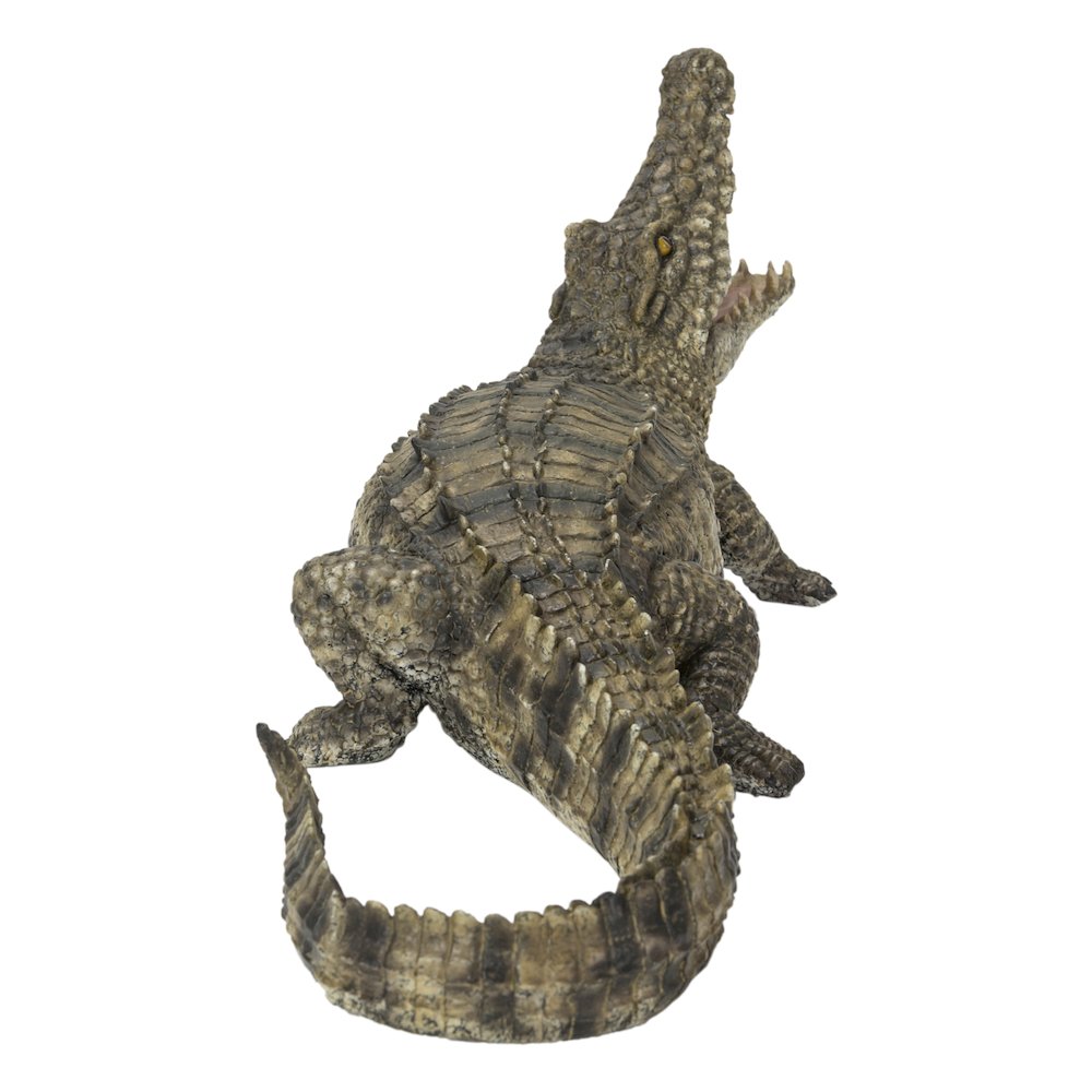 Crocodile with Mouth Open Up. Picture 4