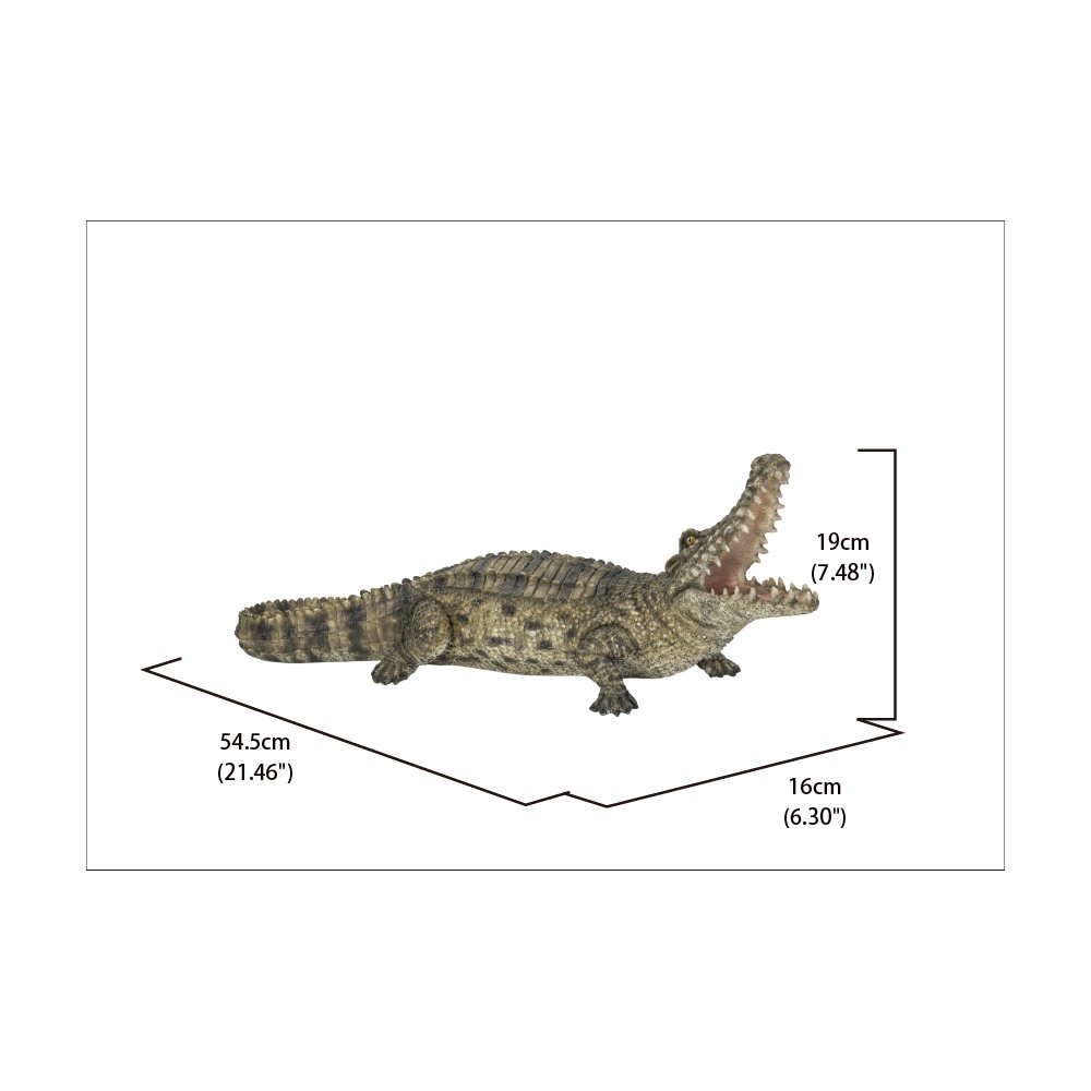Crocodile with Mouth Open Up. Picture 6