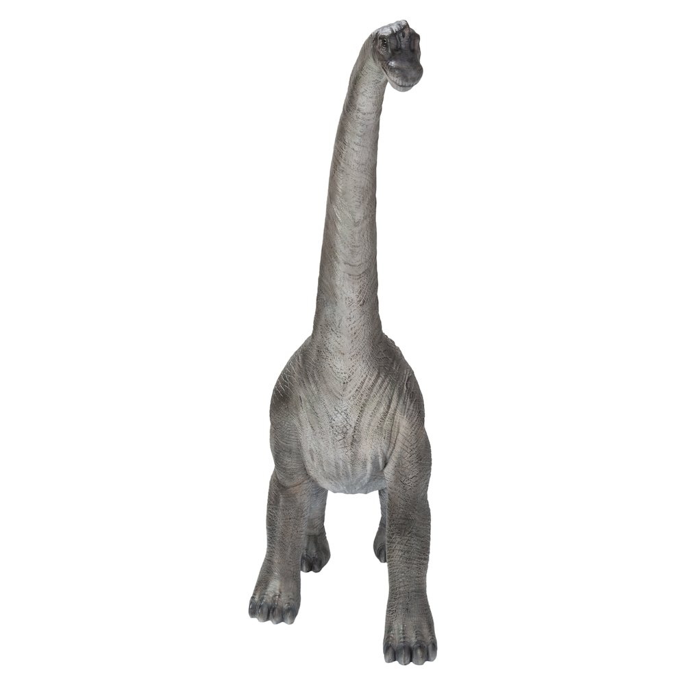 Dinosaur-Brachiosaurus. Picture 3