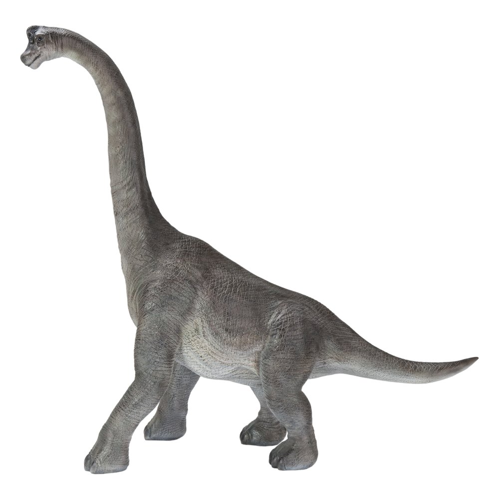 Dinosaur-Brachiosaurus. Picture 2