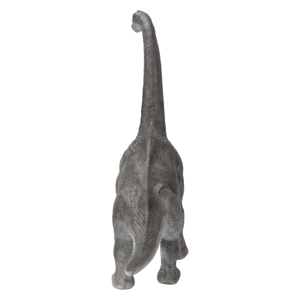 Dinosaur-Brachiosaurus. Picture 4
