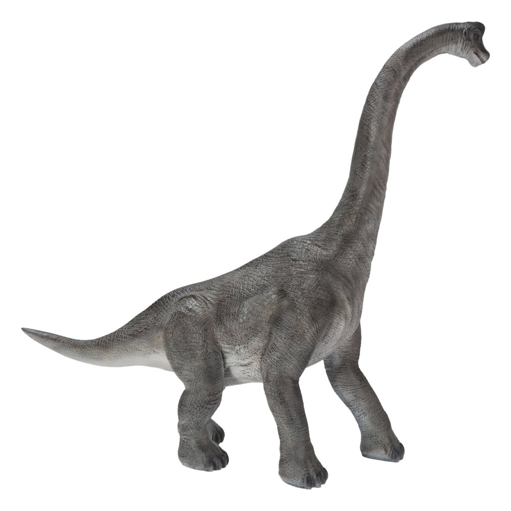 Dinosaur-Brachiosaurus. Picture 1