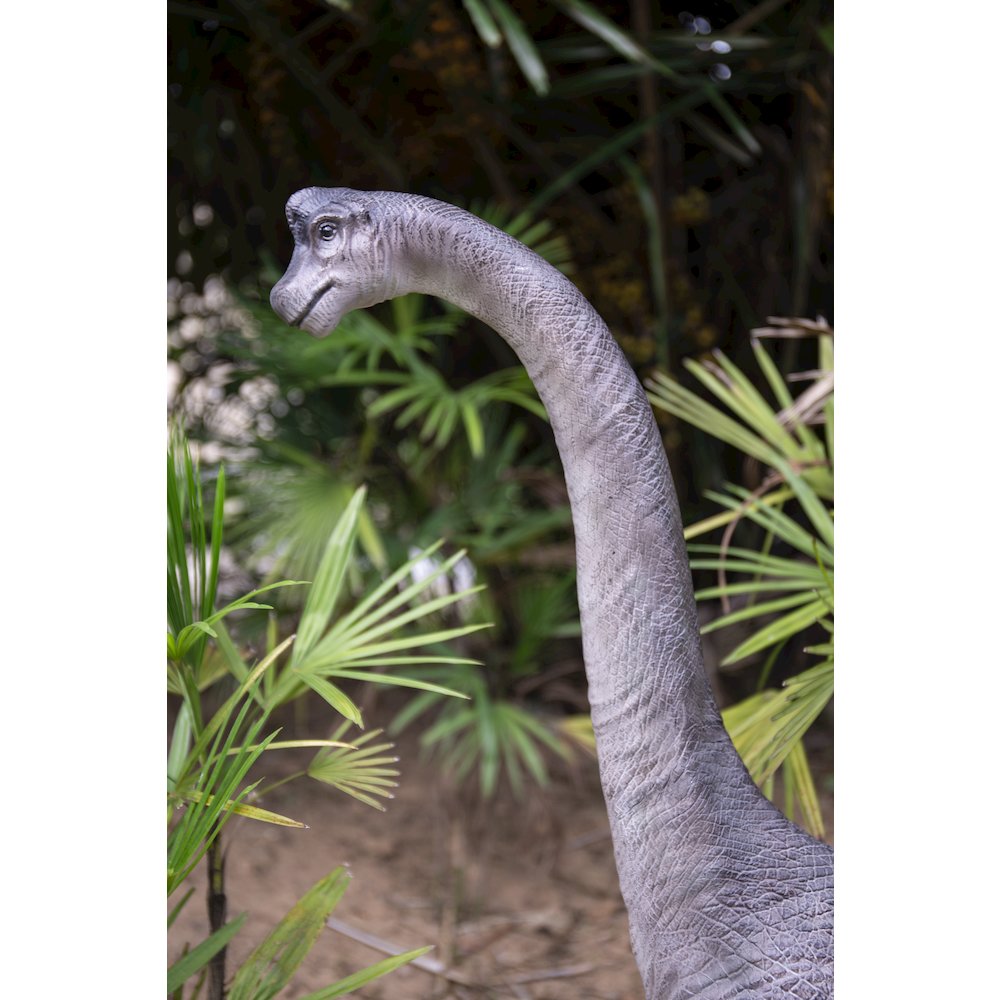 Dinosaur-Brachiosaurus. Picture 5