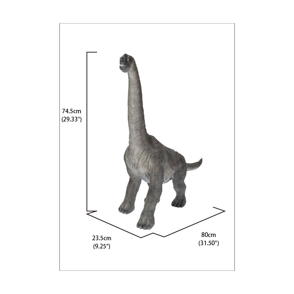 Dinosaur-Brachiosaurus. Picture 6