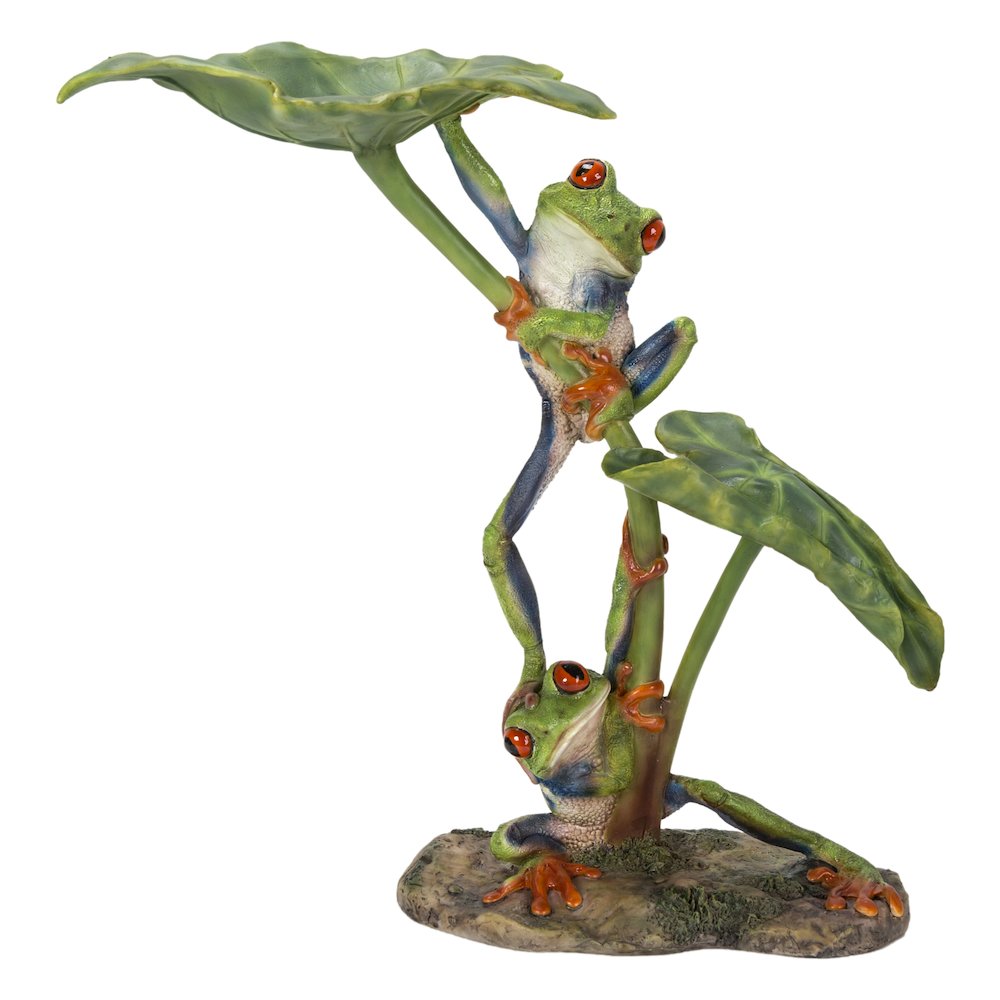 Lotus Leaf with Red-Eyed Tree Frog. Picture 2