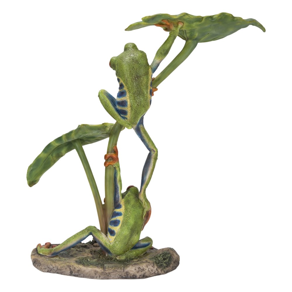 Lotus Leaf with Red-Eyed Tree Frog. Picture 4