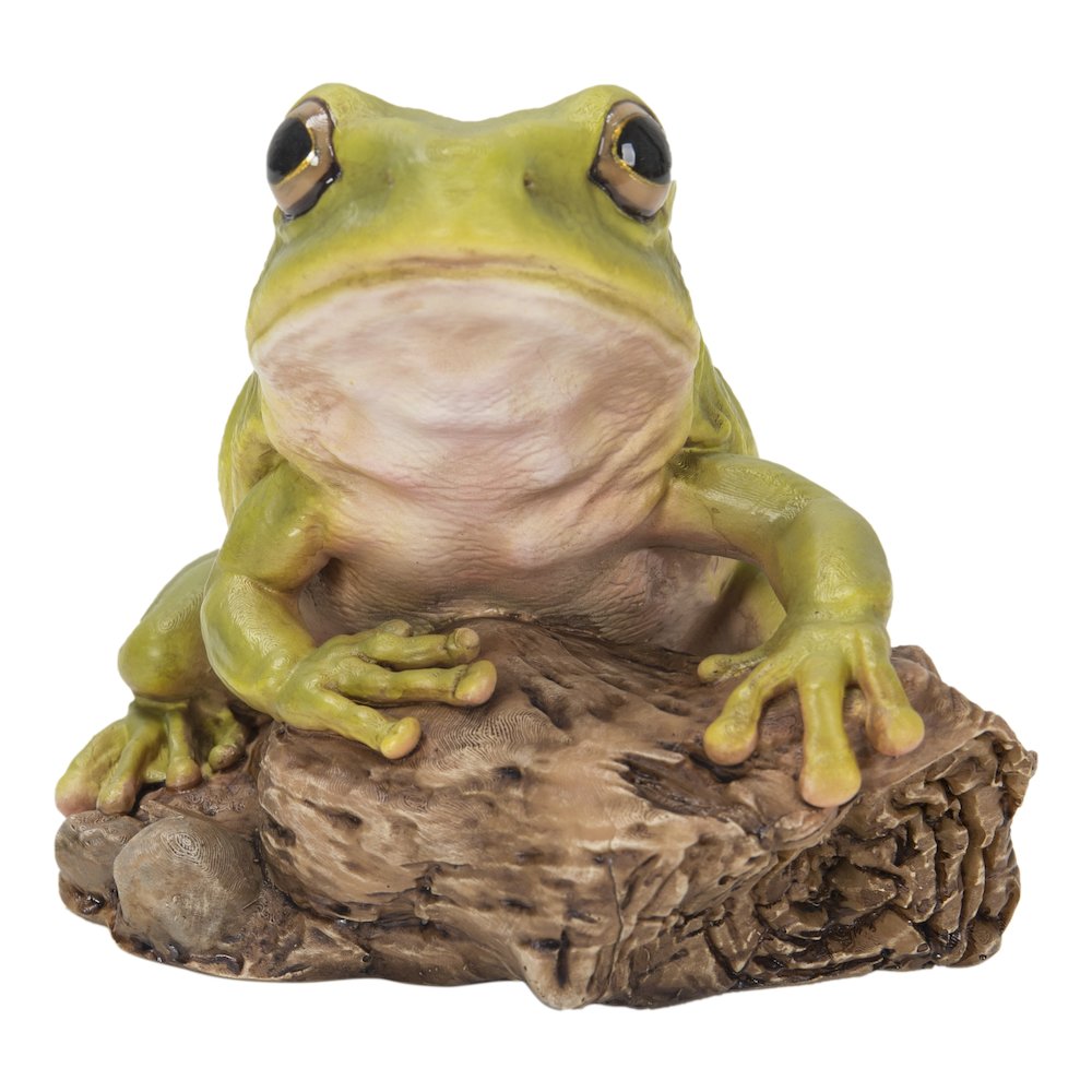 White'S Tree Frog. Picture 1