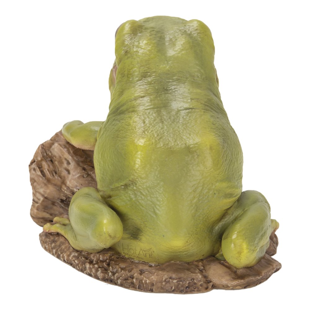 White'S Tree Frog. Picture 4