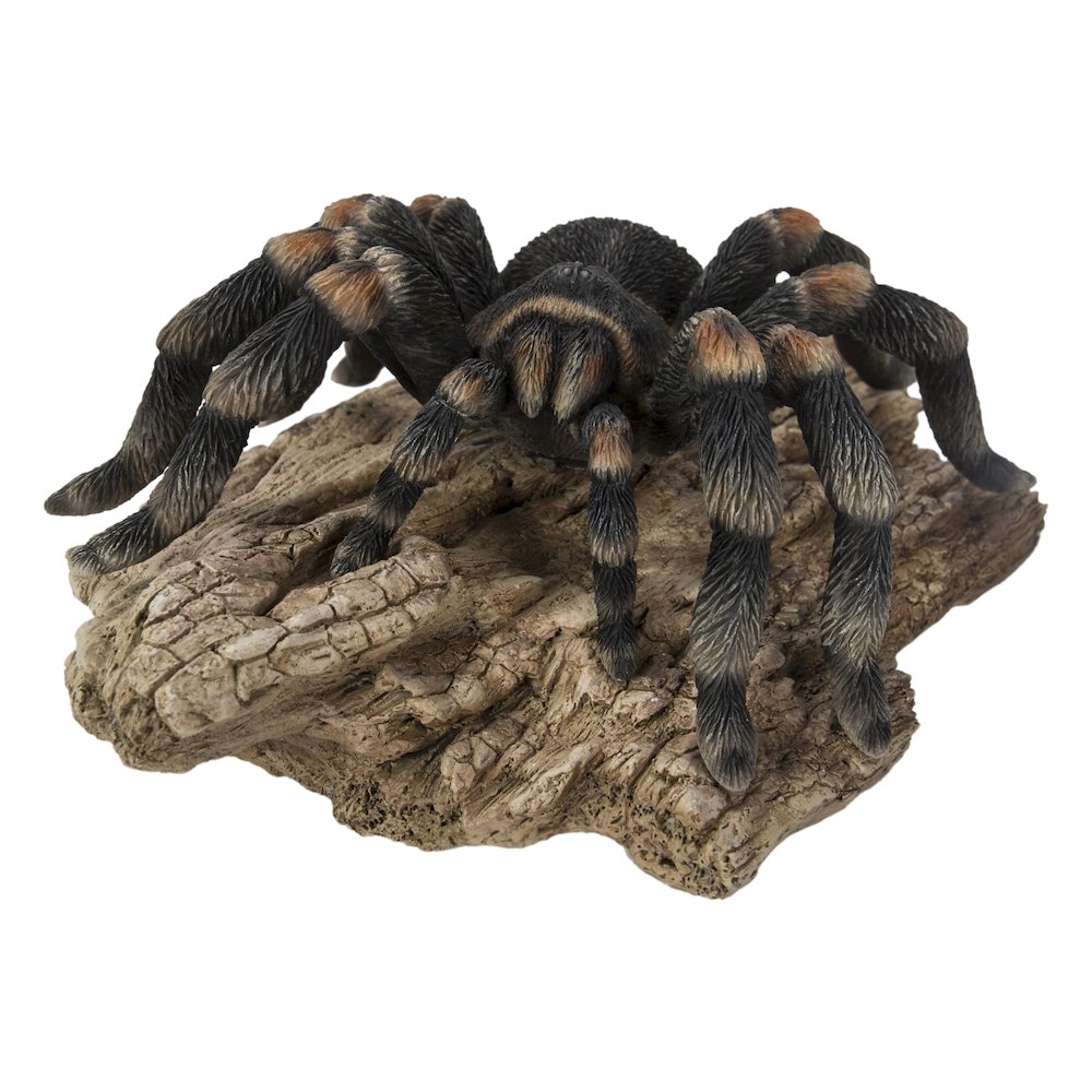Tarantula. Picture 2