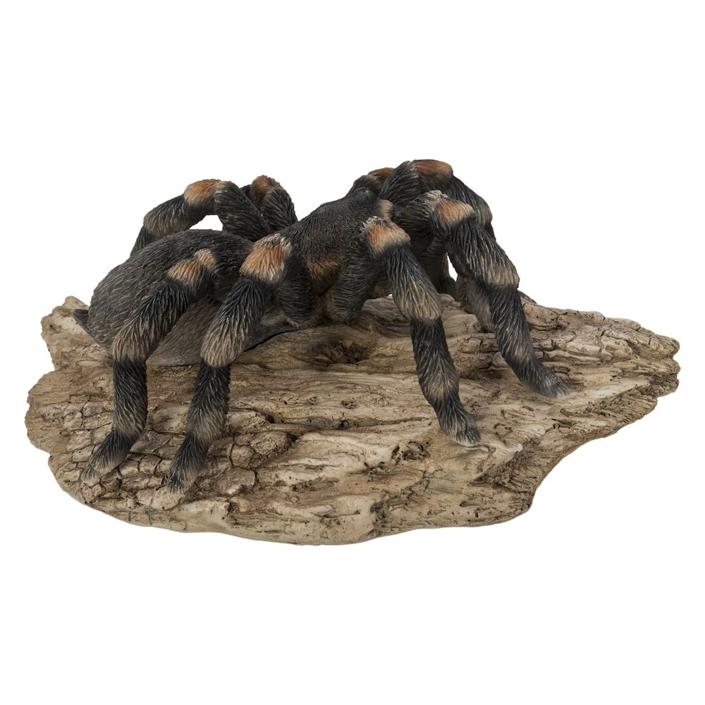Tarantula. Picture 4