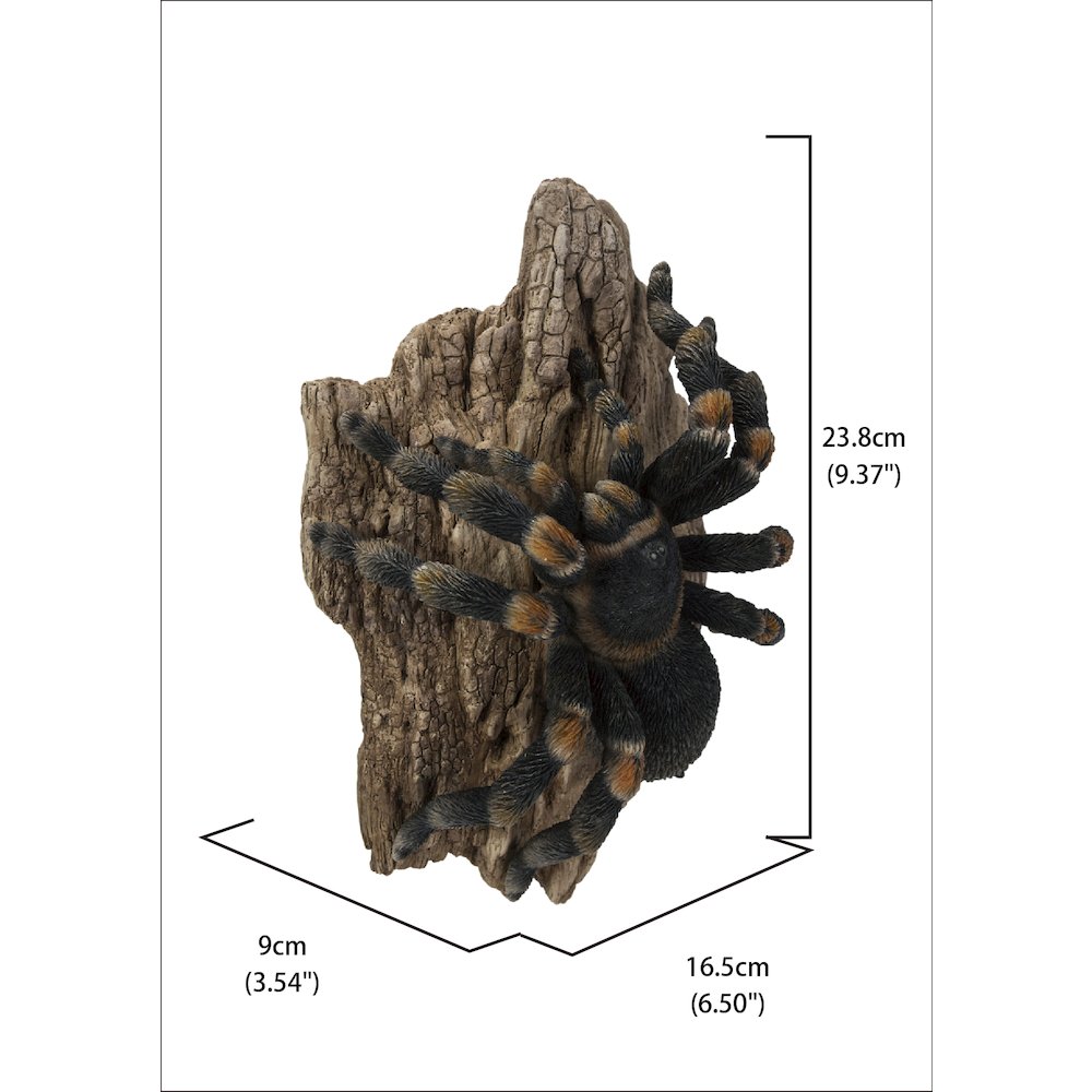 Tarantula. Picture 6