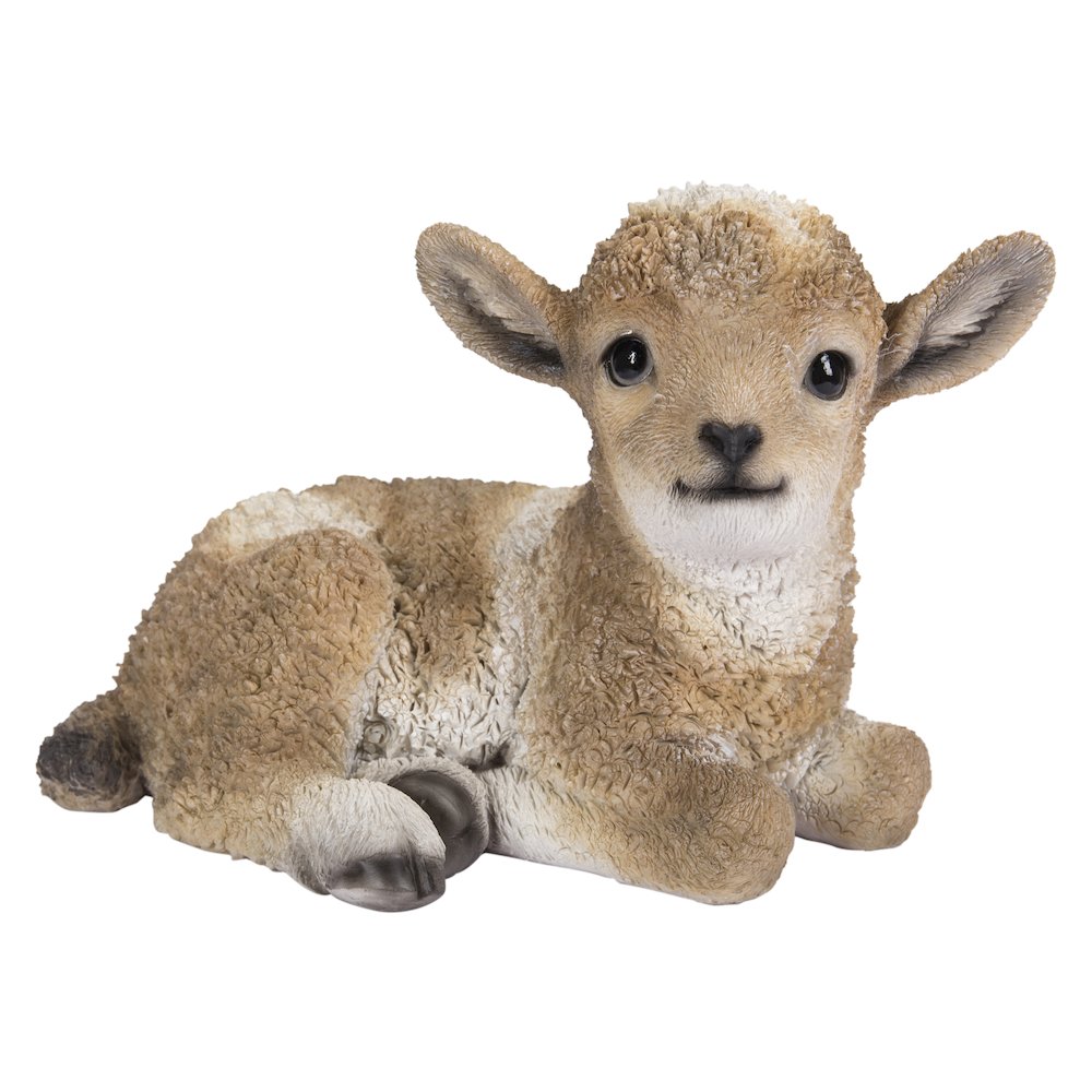 Small Brown & White Baby Lamb Lying Down. Picture 2