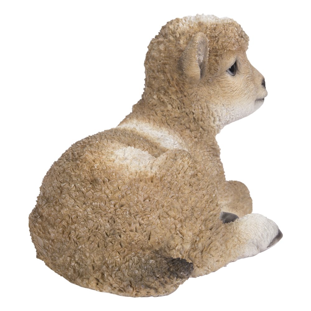 Small Brown & White Baby Lamb Lying Down. Picture 4