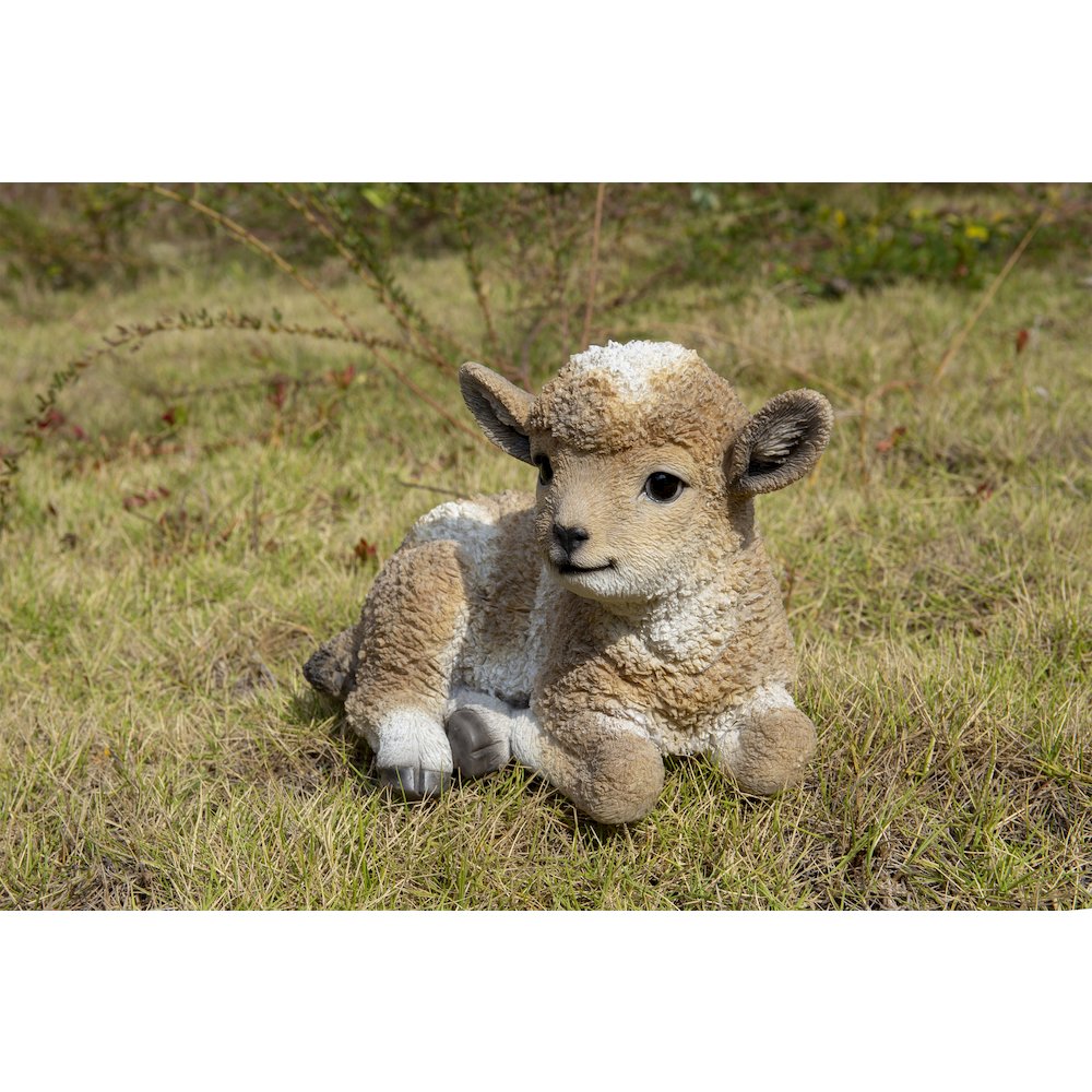 Small Brown & White Baby Lamb Lying Down. Picture 6
