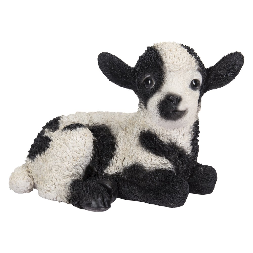 Small Black & White Baby Lamb Lying Down. Picture 2