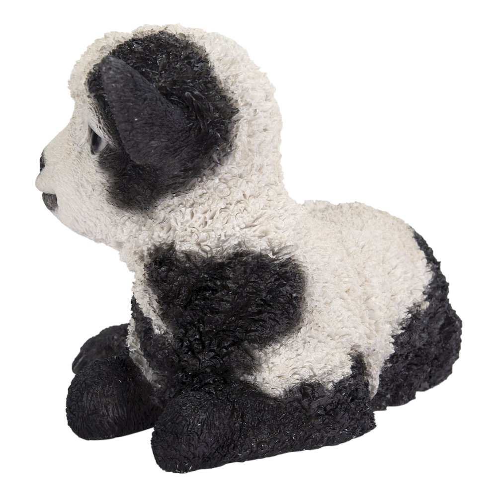 Small Black & White Baby Lamb Lying Down. Picture 3