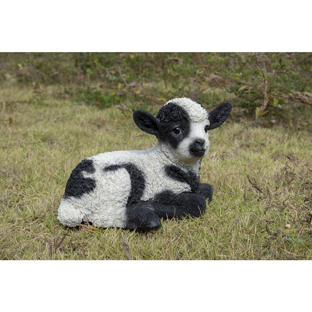 Small Black & White Baby Lamb Lying Down. Picture 6