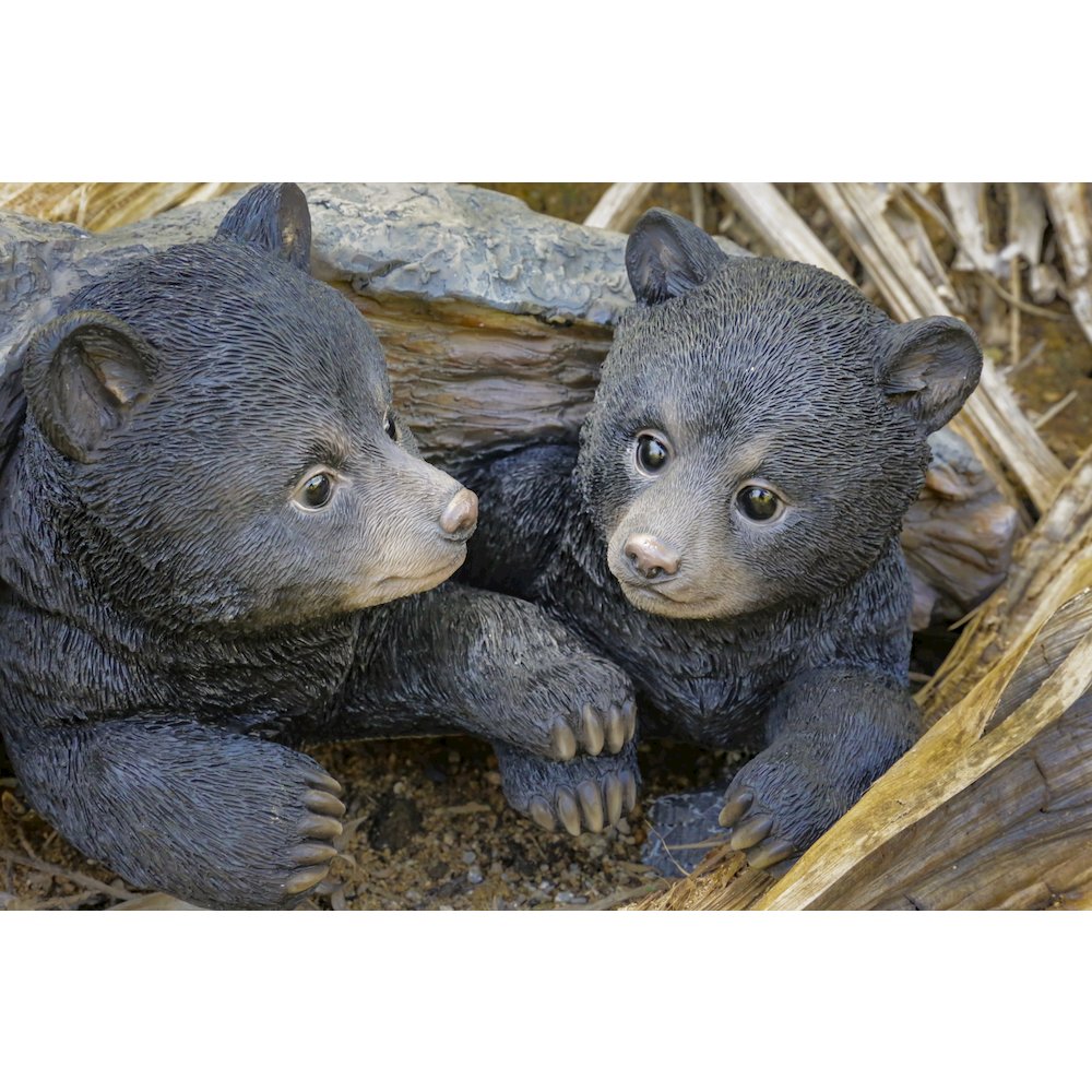 Black Bear Cubs Hiding Under Log Statue. Picture 7