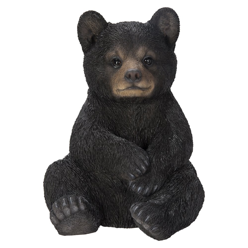Sitting Black Bear Cub. Picture 2