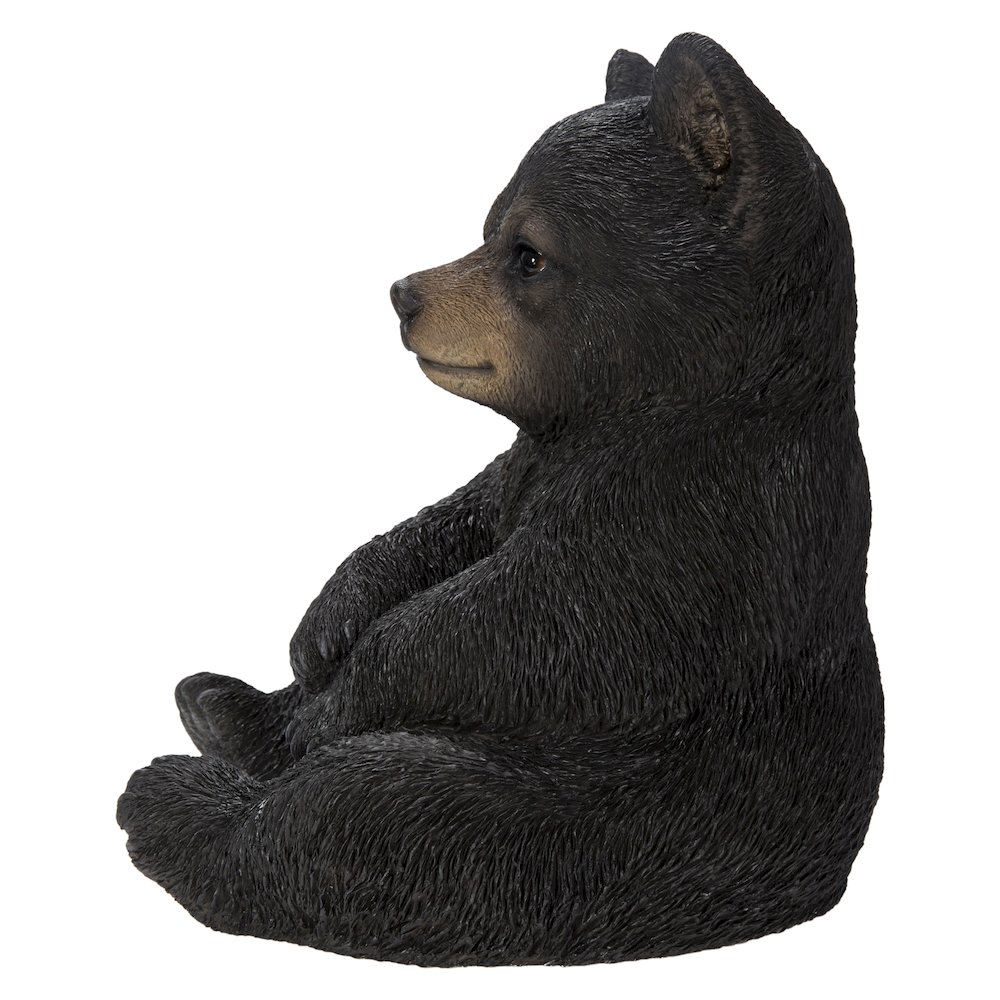 Sitting Black Bear Cub. Picture 1
