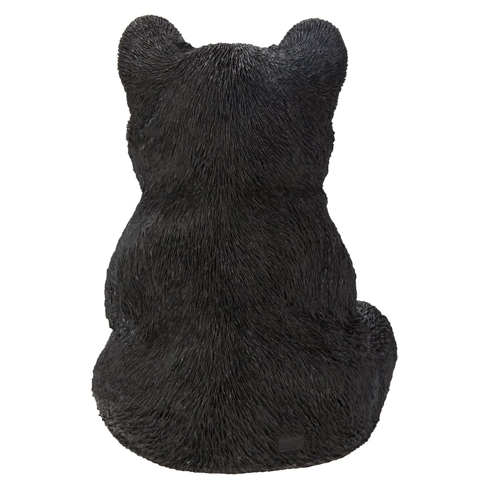 Sitting Black Bear Cub. Picture 4