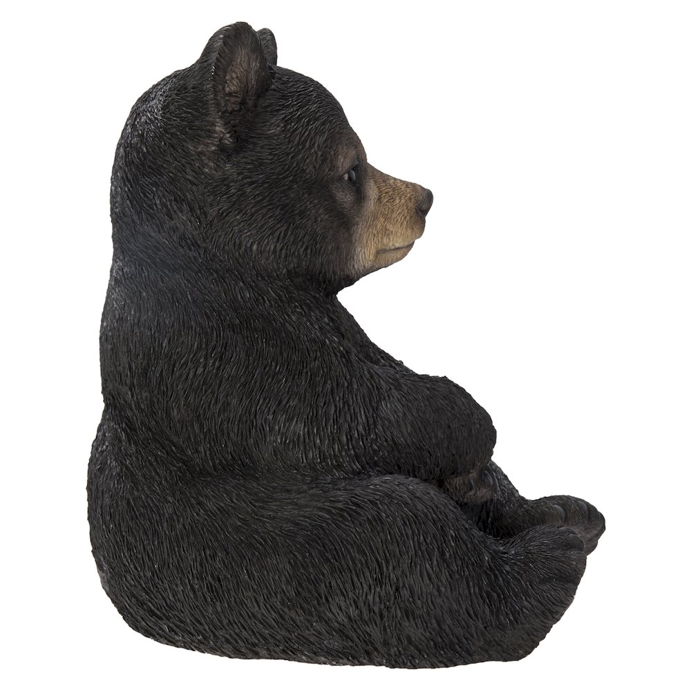 Sitting Black Bear Cub. Picture 3