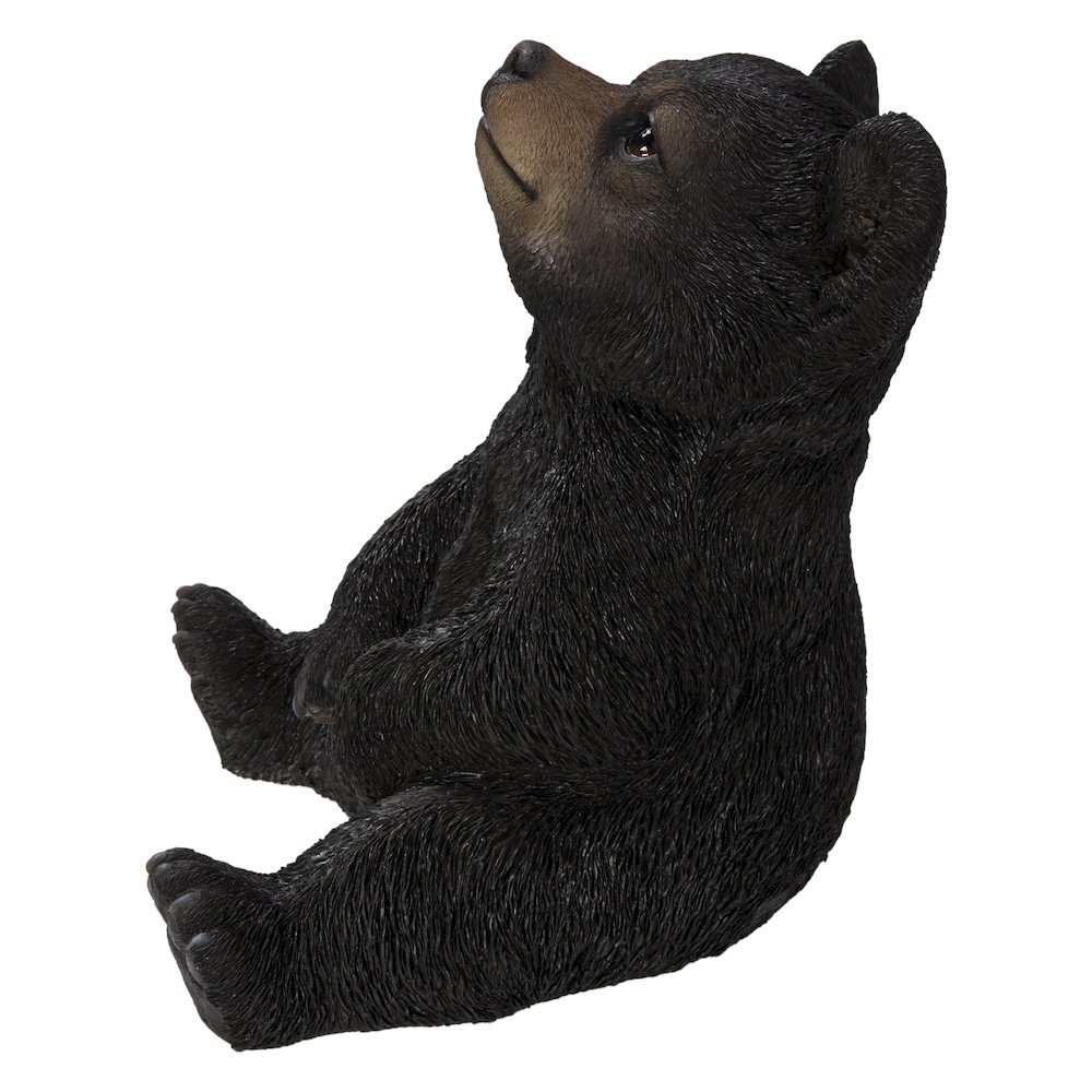 Sitting Black Bear Cub with Head Up. Picture 3