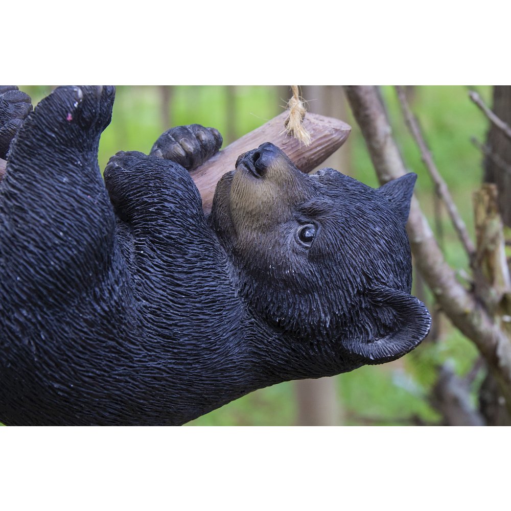 Hanging Black Bear Lying Branch. Picture 6