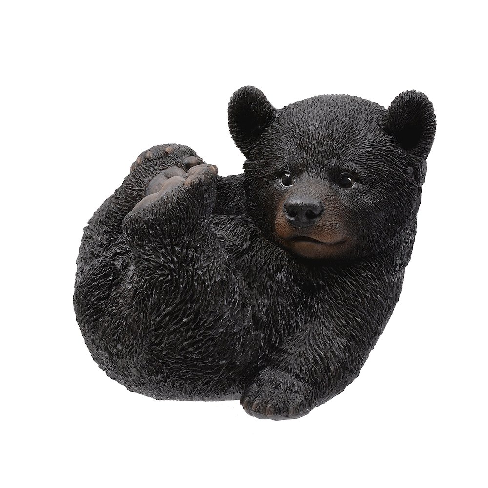Baby Black Bear Lying. Picture 1